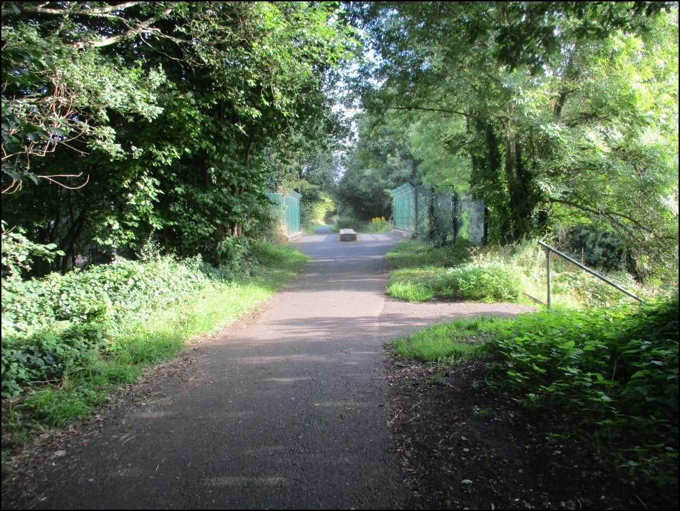 Looking North