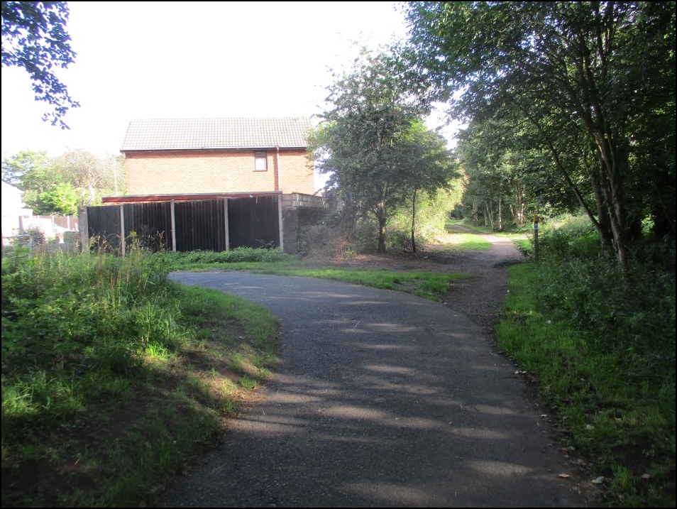 Looking North
