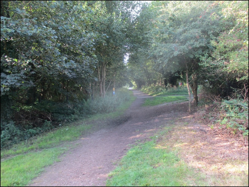 Looking South