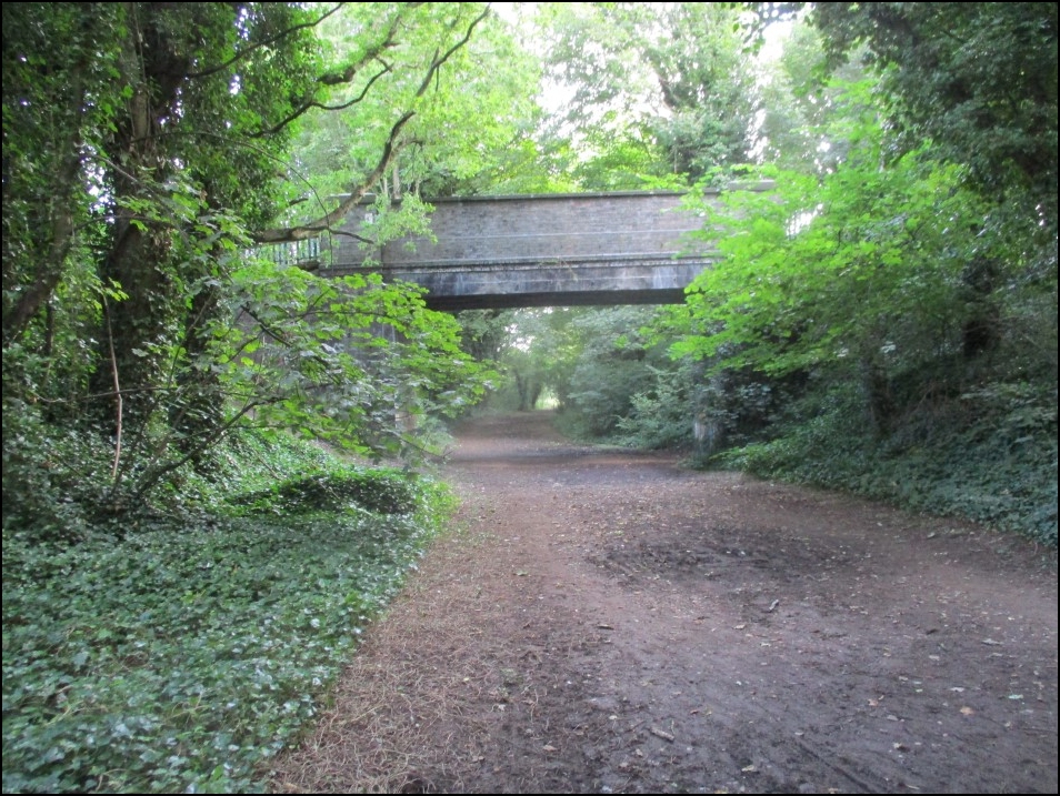 Looking North