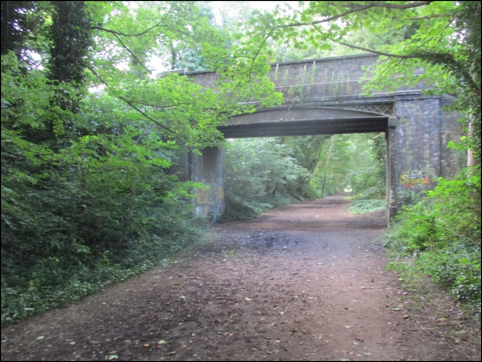 Looking South
