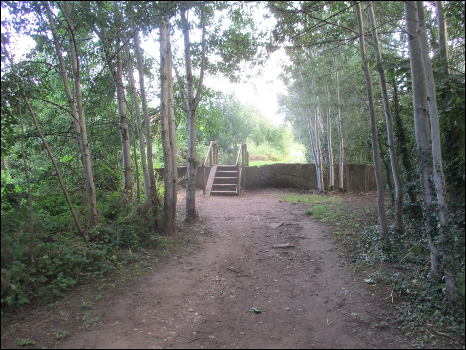 Looking North