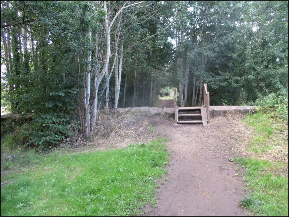 Looking South