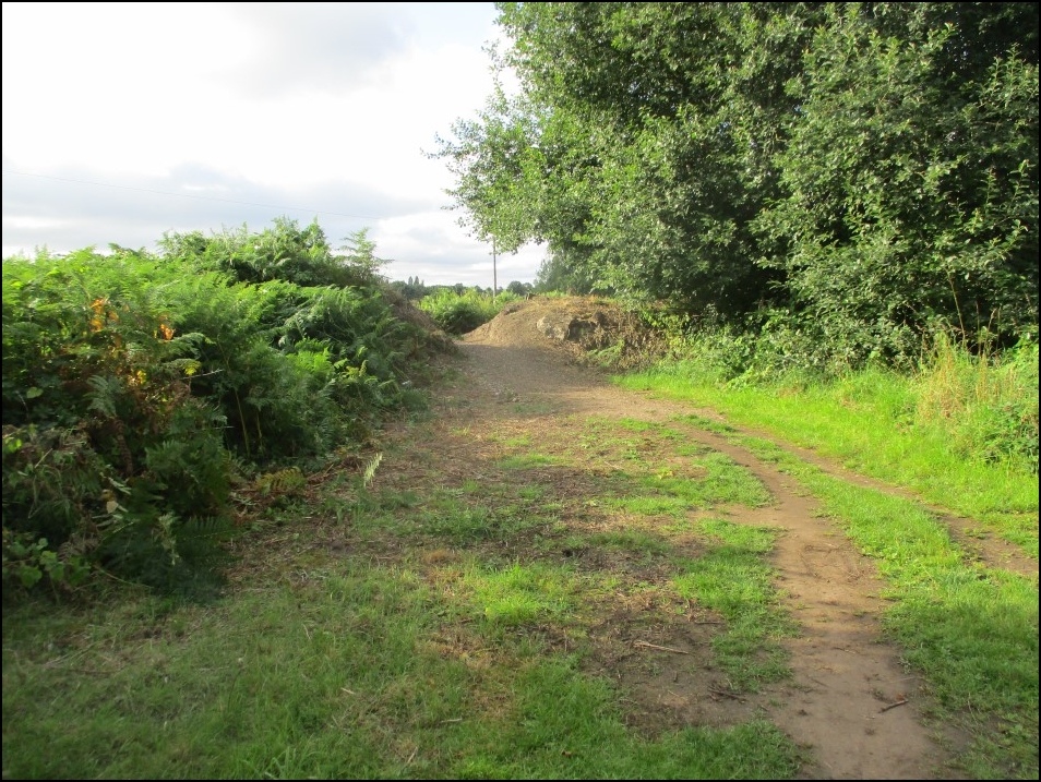Looking South