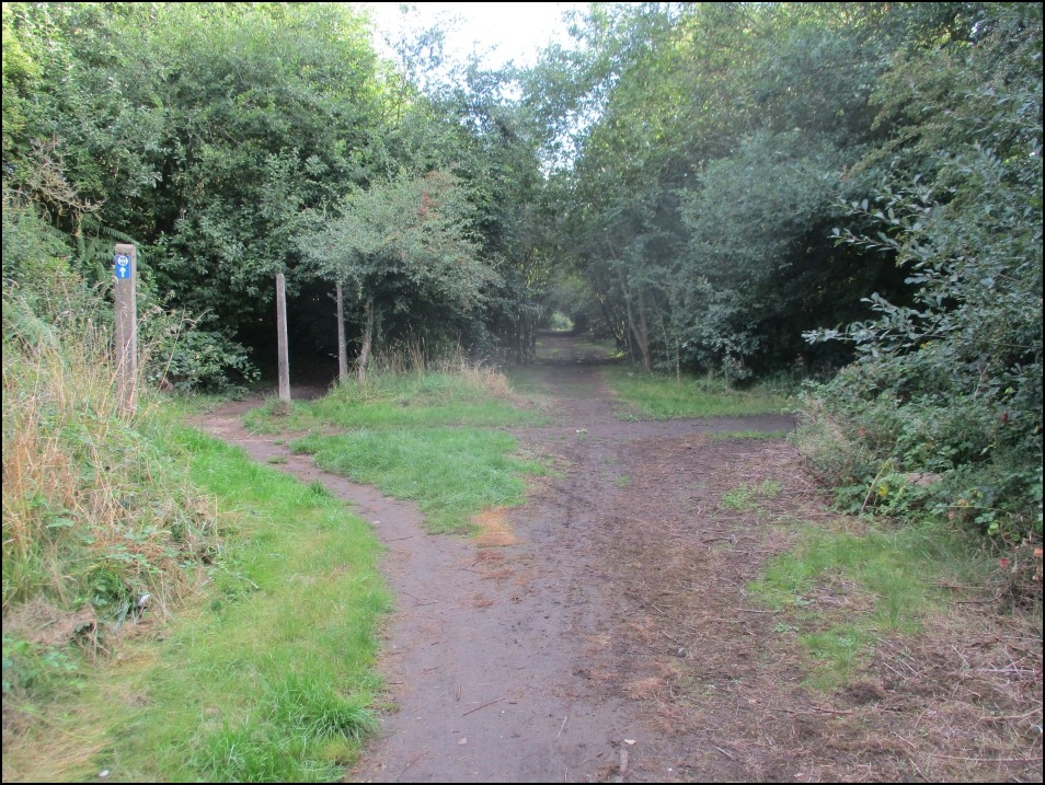 Looking North