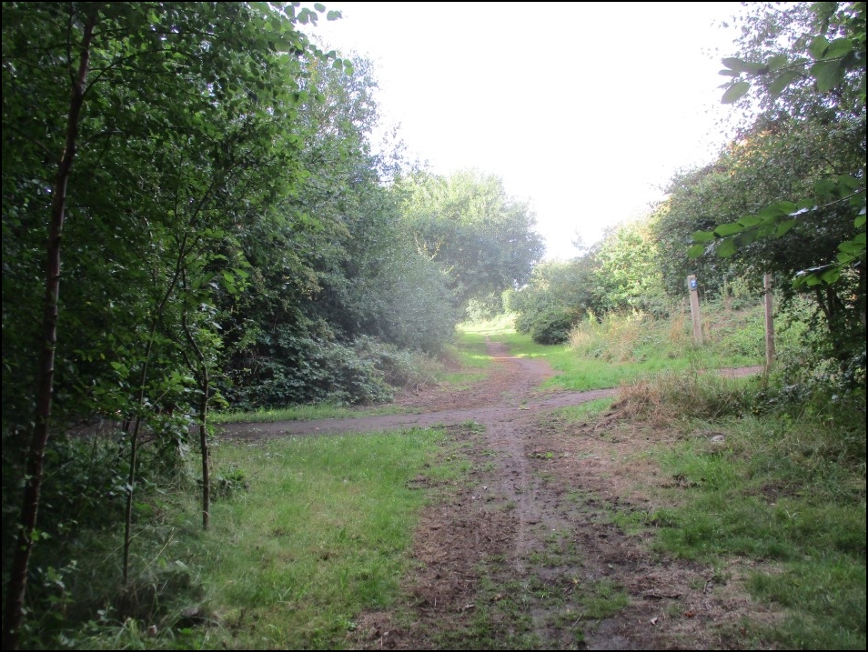Looking South