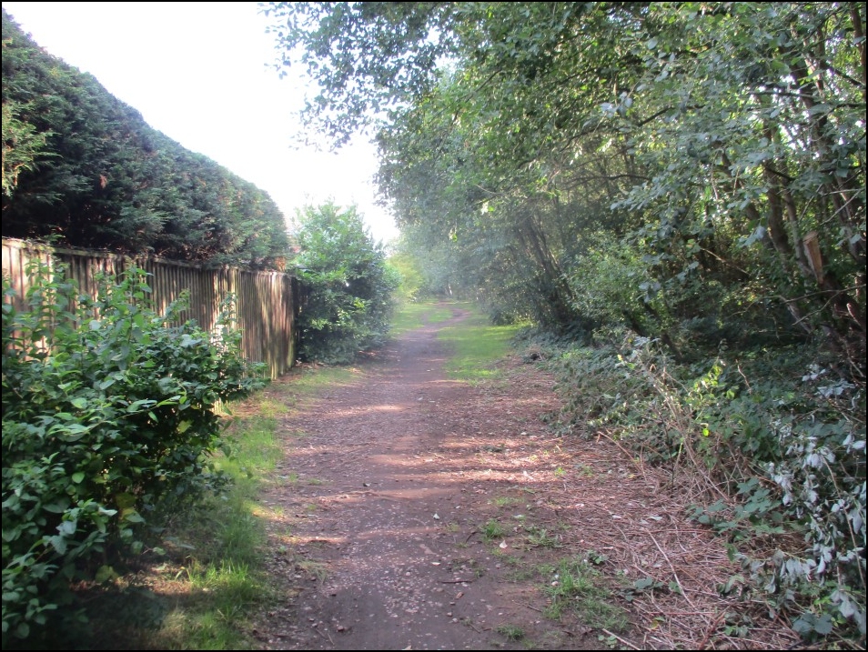 Looking North