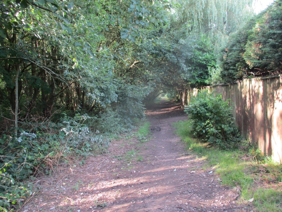 Looking South