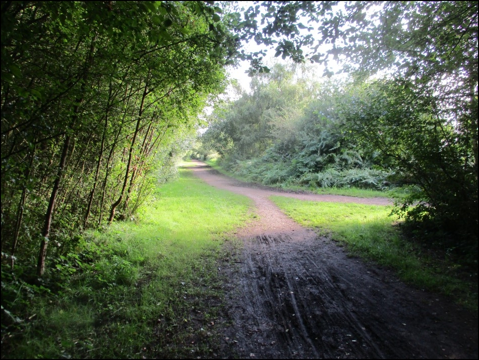 Looking North