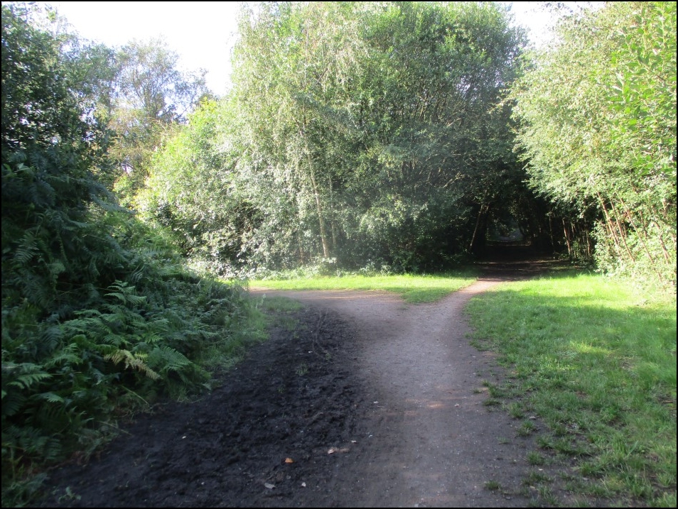 Looking South