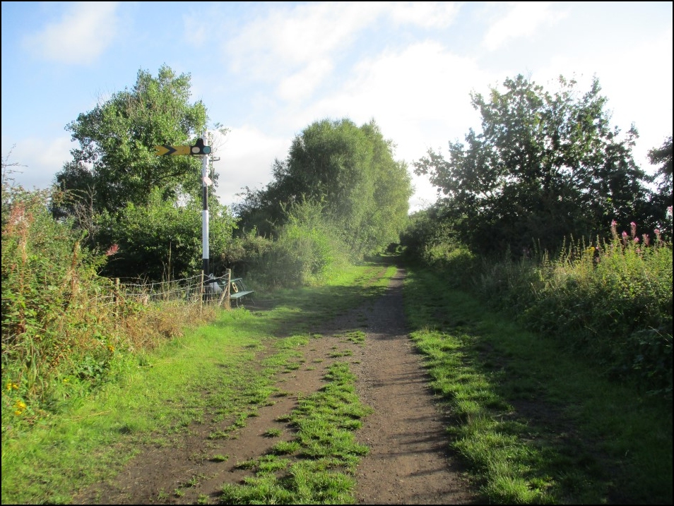 Looking North