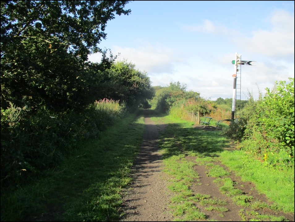 Looking South