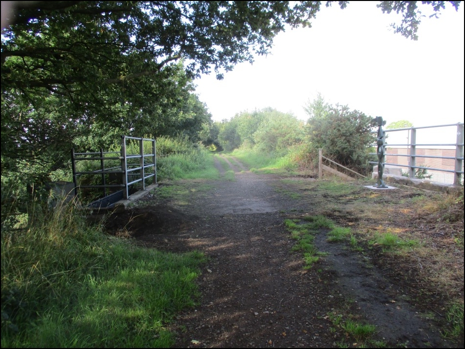 Looking South