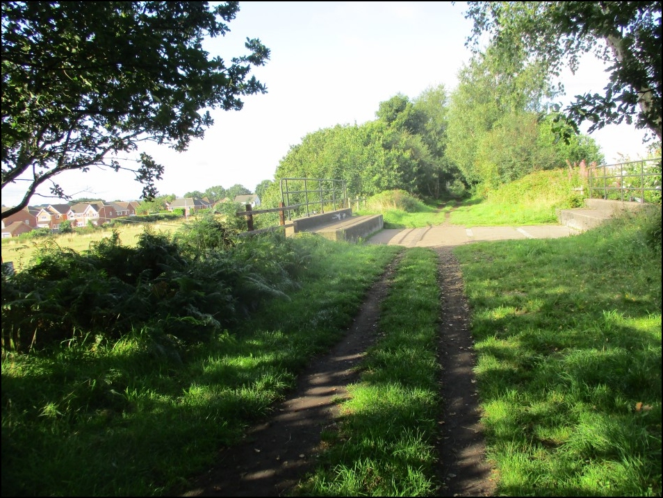 Looking South