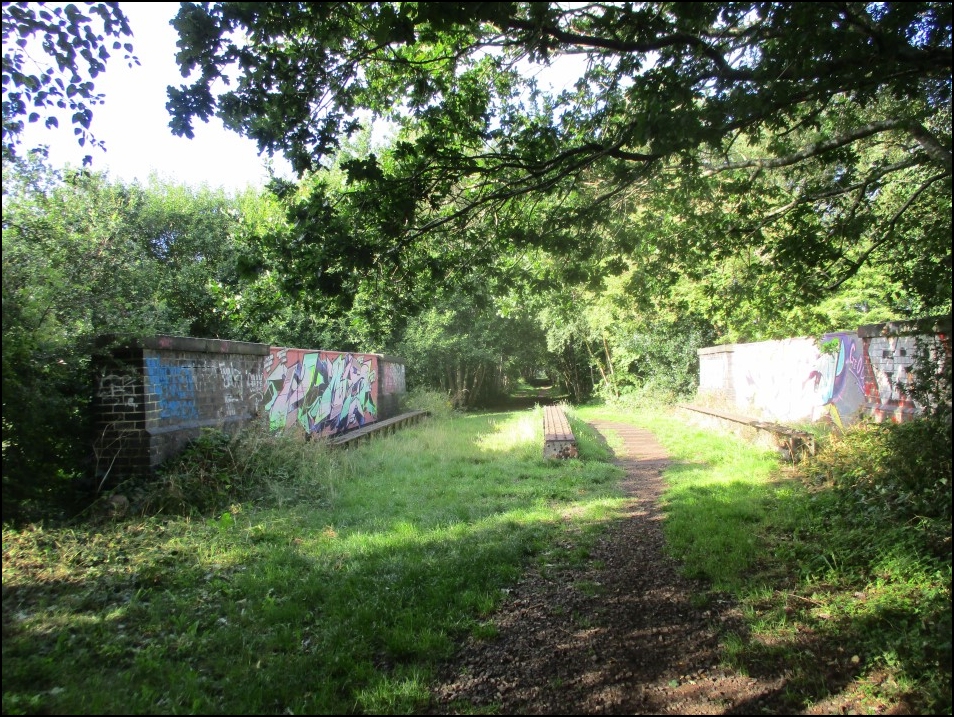 Looking South