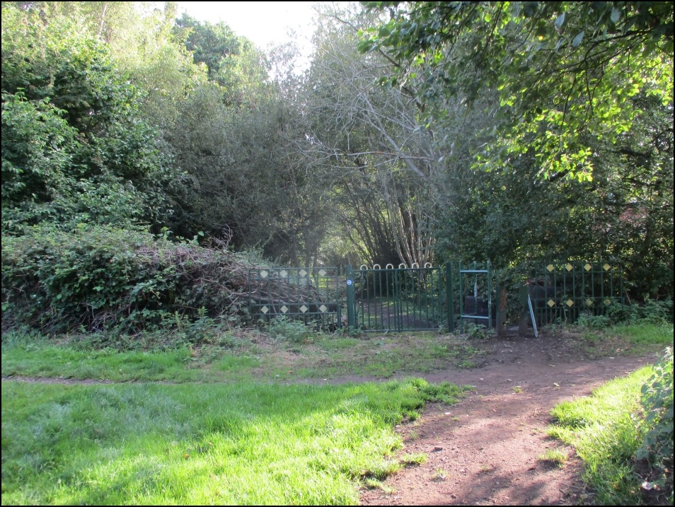 Looking North