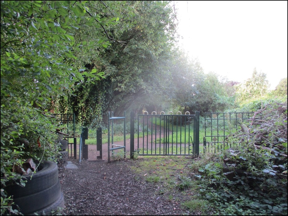 Looking South