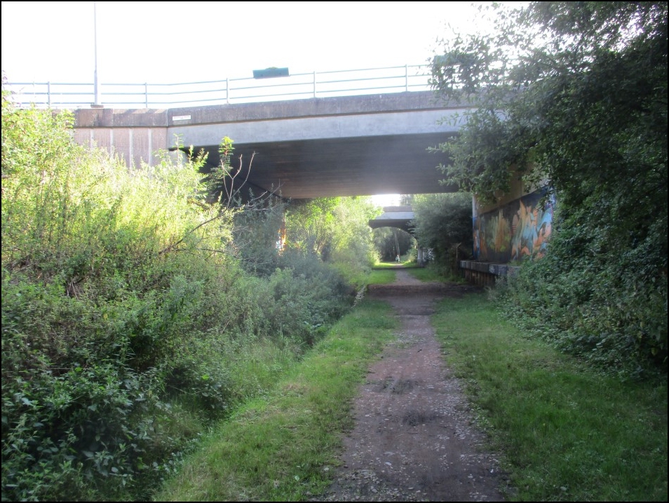 Looking North