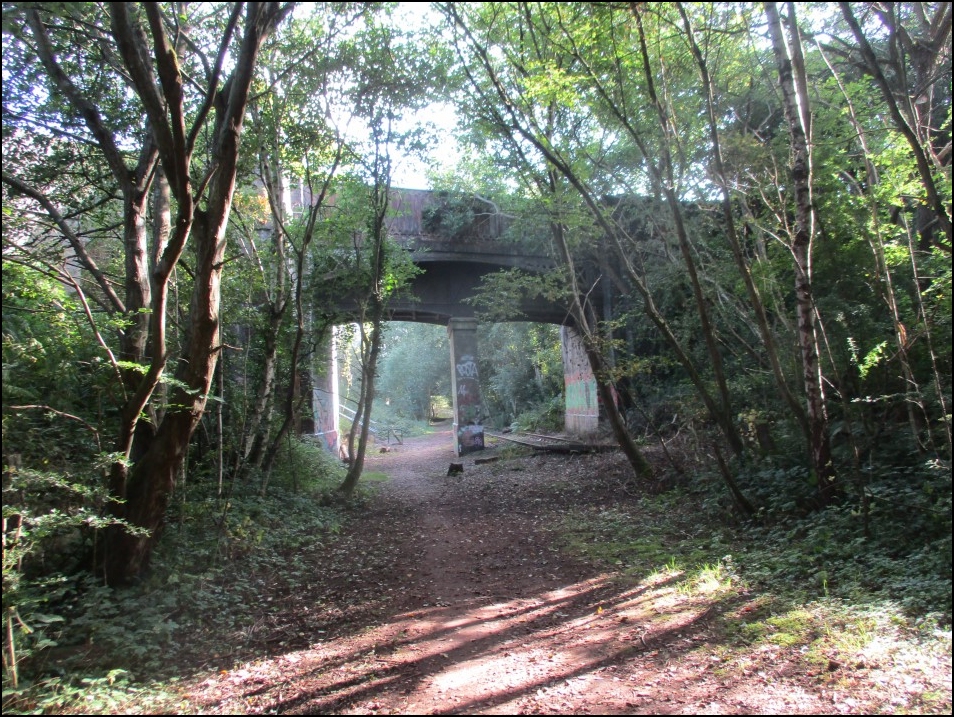Looking North