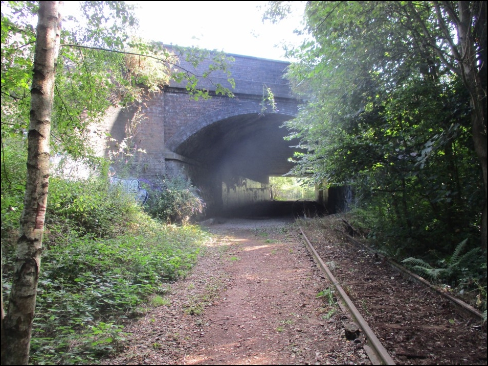 Looking North