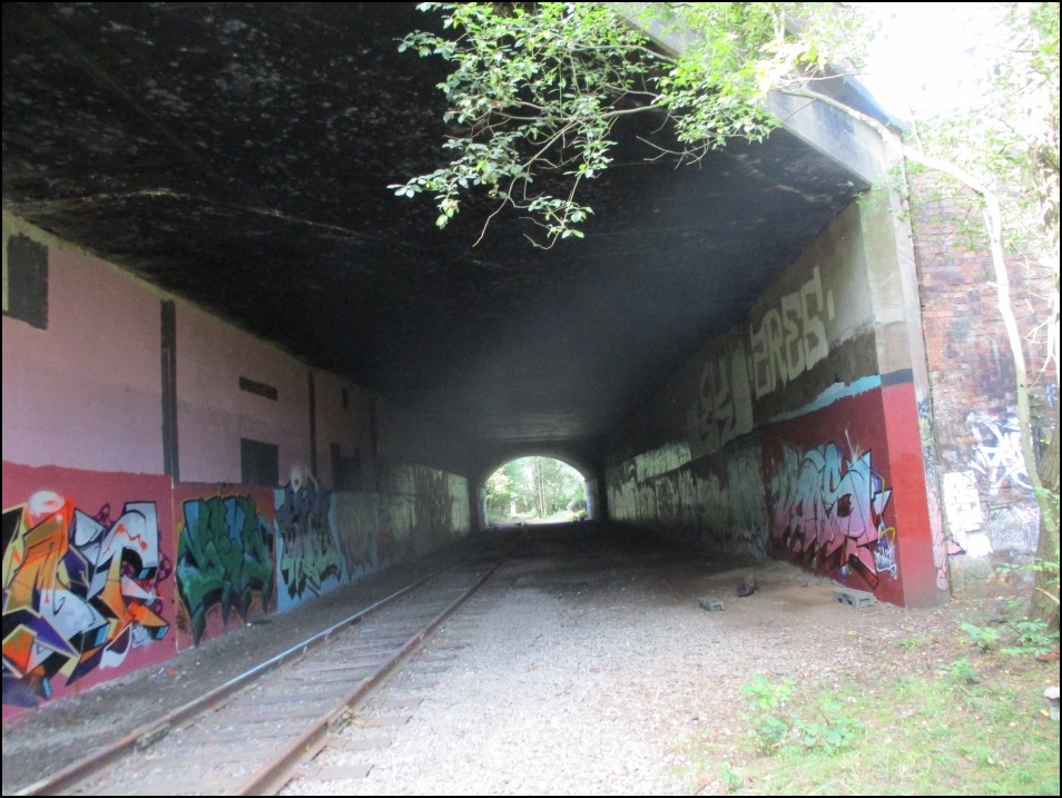 Looking South