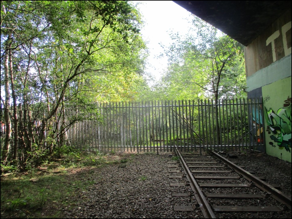 Looking North