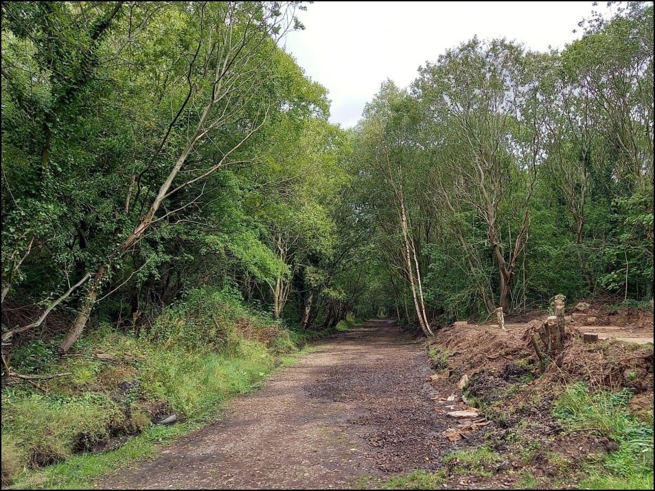 Looking North