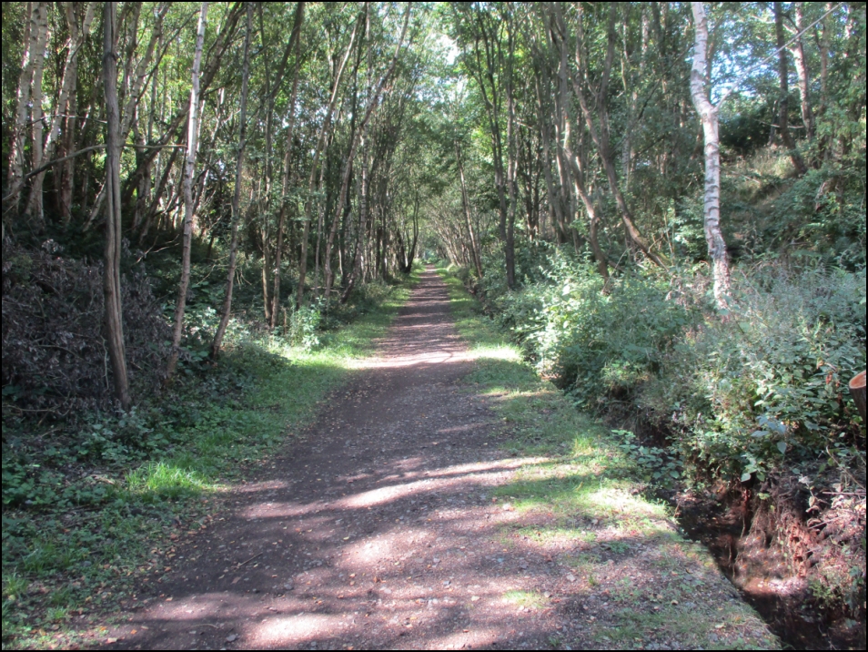 Looking South