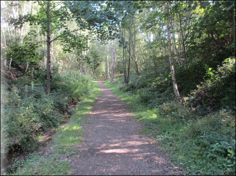 Looking North
